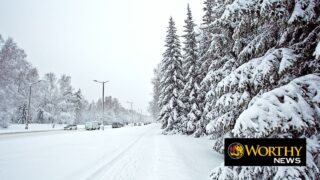 Colossal Winter Storm Leaves Dozens Dead As 220 Million Americans Face